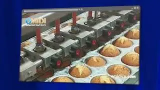 Amazing Cupcake Factory in Iraq 🇮🇶 – Fully Automatic Production Line by OMIDI Machinery