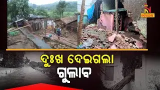 Cyclone Gulab Impact: Land Slides, Trees Uprooted & Houses Collapsed In Various Districts Of Odisha