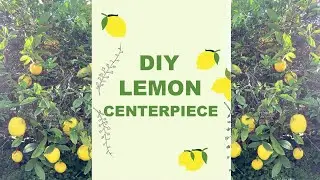 How to Create a Beautiful Lemon Centerpiece