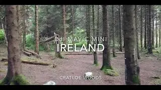 Ireland - 4K Drone Footage | Cratloe Woods|