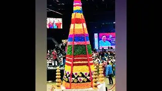 Telangana formation day  /BRS silver jubilee celebrations- USA -2025