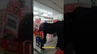 Viral!!! Kuda Masuk Ke Minimarket #kesenian #burok