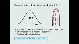 Prof. Samo Kralj | Stabilization of liquid crystalline structures exhibiting topological defects