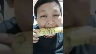 #shorts #cornmukbang #mukbang #corn #eatingshow