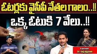 YSRCP Leaders Distributes Huge Money To Voters | YS Jagan | AP Elections 2024 | Wild Wolf Focus