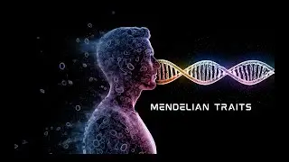 Studying Sickle Cell & Malaria In Rwanda