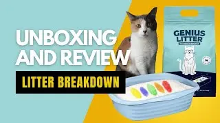 Genius Litter Review: The Ultimate Solution for Odor Control and Health Monitoring
