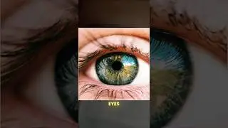 SELLING YOUR EYE? THAT&rsquo;S A FEDERAL CRIME IN THE U.S.!