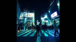 Seimei & Taimei - Everlasting 2013