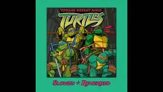 TMMT 2003 Theme Song Early Version (Slowed + Reverb)