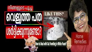 പൂച്ച വെളുത്തപത ശർദ്ദിക്കുന്നുണ്ടോ? | Deal With Cat Vomiting White Foam | Catcare@NANDASPets