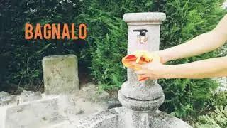 La freschezza a portata di mano - Chilly Pad