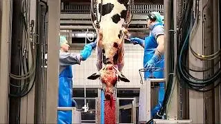 Inside the Cow Meat Processing Plant &mdash; From Live Cattle to Packaged Beef | Full Factory Process
