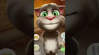 dhom machale /Dhoom machale/doom machale Dhoom #funny #cat#short😃😃