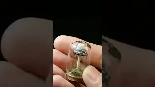 Make a mini mushroom microcosm #microscape #microlandscape #microlandscapemaking #miniaturescene
