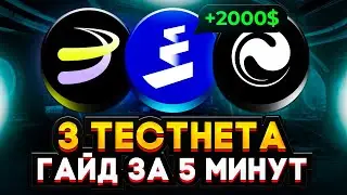ЭТИ 3 ТЕСТНЕТА РАЗДАДУТ ОГРОМНЫЙ AIRDROP! ПОШАГОВЫЙ ГАЙД БЕЗ ВЛОЖЕНИЙ