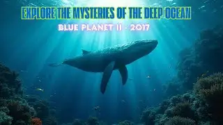 Blue Planet II - 2017 Explore the Mysteries of the Deep Ocean#GeheimeGeschichteTV