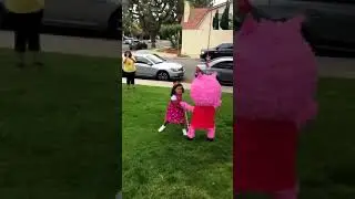 Peppa Pig Pinata SHOOK