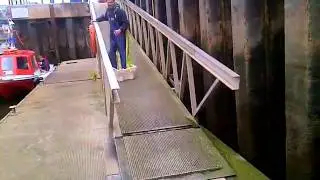 surfing fishbox style