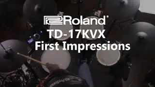 Stick To Games: New Gear-Roland TD17 KVX