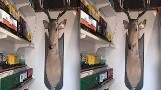 3D 