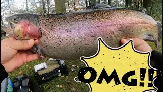 Angel auf XL Lachsforellen hier bei Wild ( Trout Area Fishing )