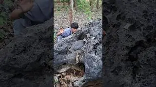 catching chickens in the mountains #shotviral