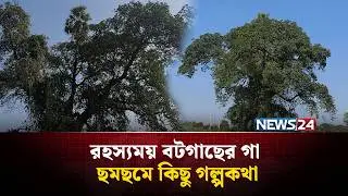 রহস্যময় বটগাছের উপর তালগাছ, গা ছমছমে অলৌকিক ঘটনা | NEWS24 Special