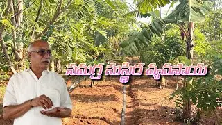 9393567567 సమగ్ర సుస్థిర వ్యవసాయ #spk #agricultureinindia #agricultureintelugu #cow #farmingintelugu