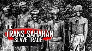 The Real Story Behind The Trans Saharan Slave Trade. #fyp #history #sahara