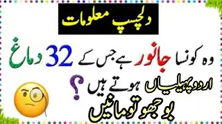 Facts about animals - Brain Twists - pehelian in Urdu/Hindi - Common sense general knowledge  quotes
