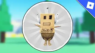 How to get the CARDBOARD MEOWL BADGE in FIND THE MEOWLS | Roblox