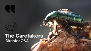 Tom Hanner on Filming Darwin's Beetle Specimens | Director Q&As