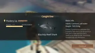 Full Tutorial Fishing Blacktip Reef Shark in Lifeafter