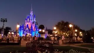 Live Ambiance : Disney World HUB and Castle at night 1 hour.