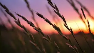 Dolce Vita 80s 🇮🇹 | Relaxing Italian Instrumental Music