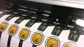 Stampa Etichette per olio