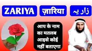 Zariya Name Ki Meaning In Urdu | Zariya Name Ka Matlab Kya Hota Hai