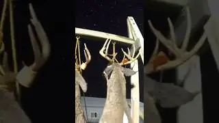 Michigan Big Buck Pole! #deer #hunting #camp