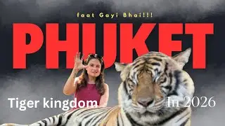 Play with Big & Small tigers in Tigerkingdom Phuket | Thing to do in Phuket | Phuket Vlog |faat gyi 