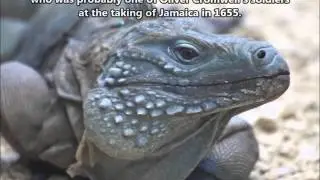 ZF2MJ Cayman Islands. From dxnews.com