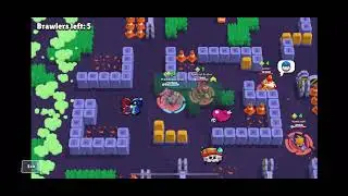 Average rank 50 showdown match