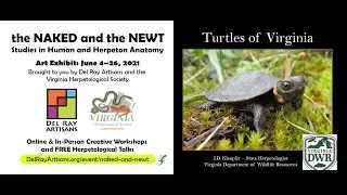 Turtles of Virginia: Life History and Conservation