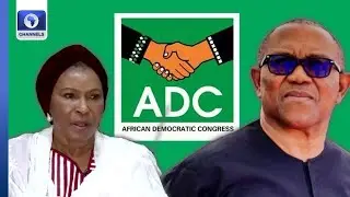 I'll Work For Obi Or Any Candidate Who Wins ADC Presidential Ticket &mdash; Sen Ireti Kingibe