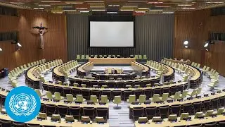 UN Int'l Conference on the Peaceful Settlement of Palestine & the Two-State Solution| United Nations