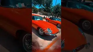 Vintage Jaguar Cars 🐆🚘 | Special Edition Jaguar Cars #jaguar #jaguarcars #vintagecars