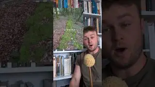 Archaeologists have discovered a Roman wall built to pen in the gladiator Spartacus PART 1