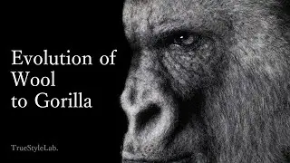 【羊毛造形】Evolution of Wool to Gorilla