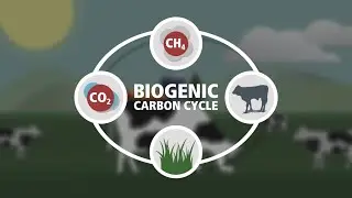 Biogenic Carbon Cycle