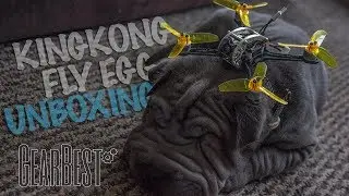 KingKong Fly Egg 130 Racing Drone Review - Unboxing